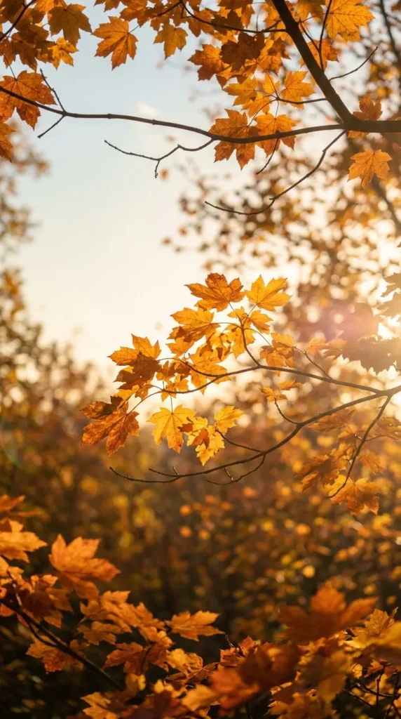 Golden Hour Leaves